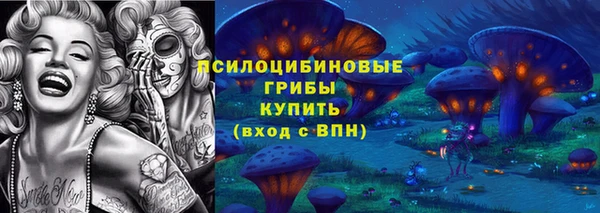 ECSTASY Нязепетровск