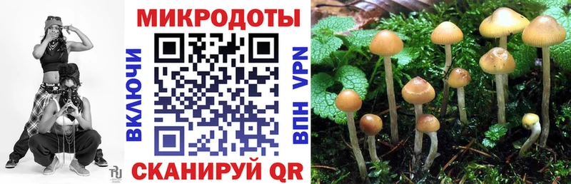 Псилоцибиновые грибы ЛСД  купить наркотик  Сертолово 