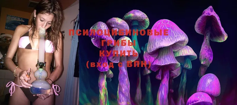 мега ссылка  наркота  Сертолово  Псилоцибиновые грибы Magic Shrooms 