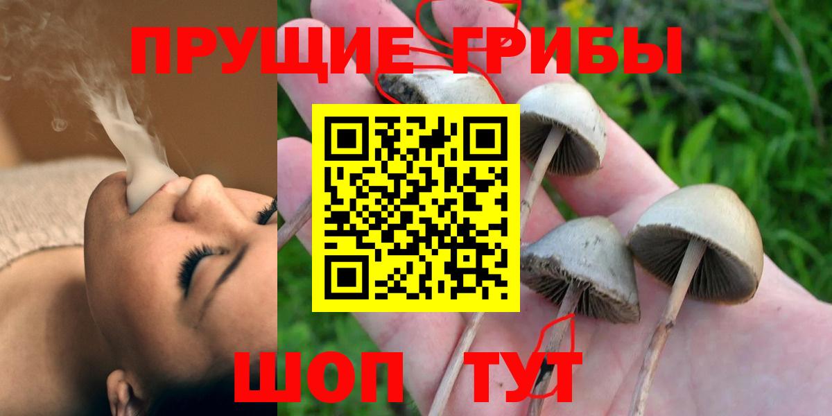 Галлюциногенные грибы GOLDEN TEACHER Сертолово